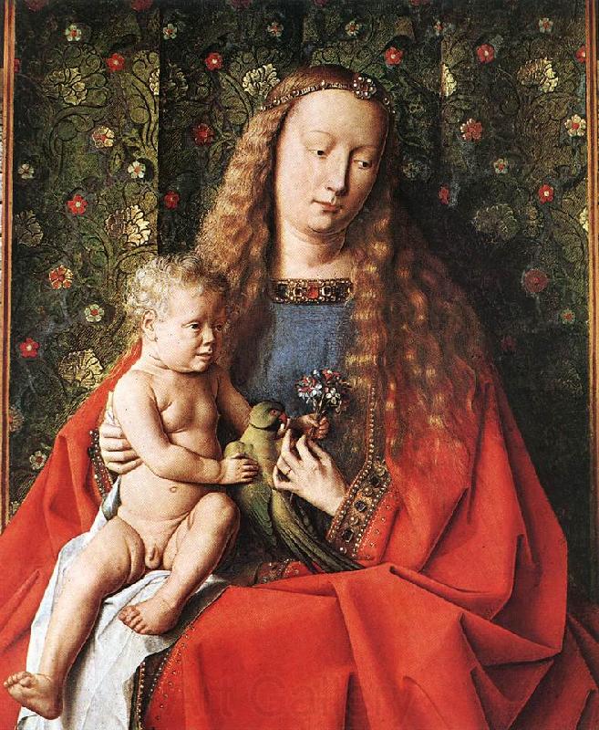 EYCK, Jan van The Madonna with Canon van der Paele (detail) dfg Spain oil painting art